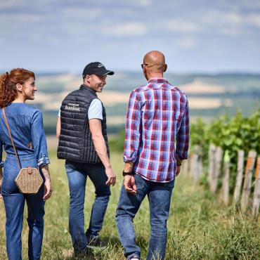 Fascinant Week-end V&D : De la vigne au vin