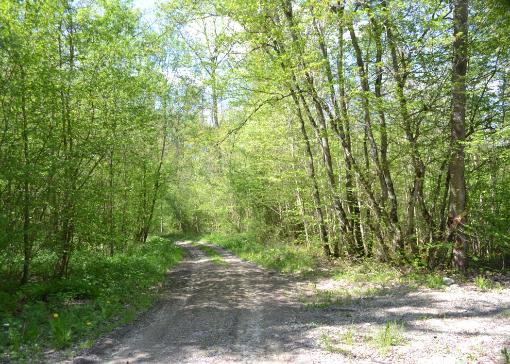 18ème trail du Pays d'Argonne