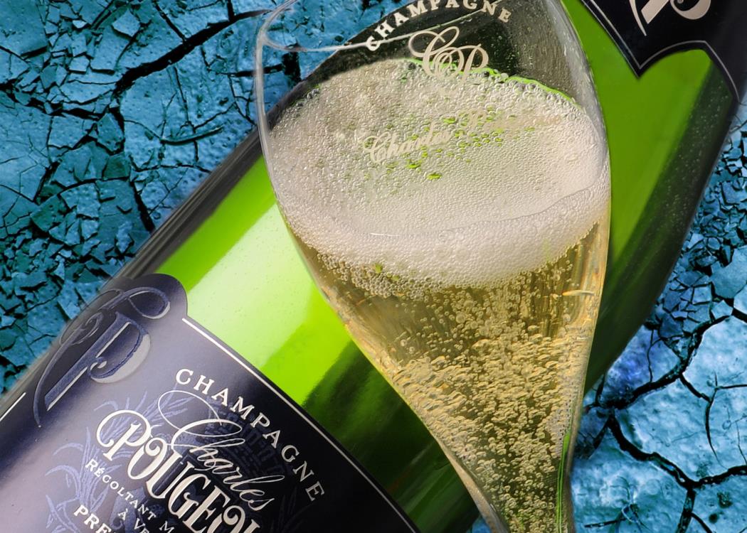 DSC_6959 df rec2 DSC_6959 df rec2