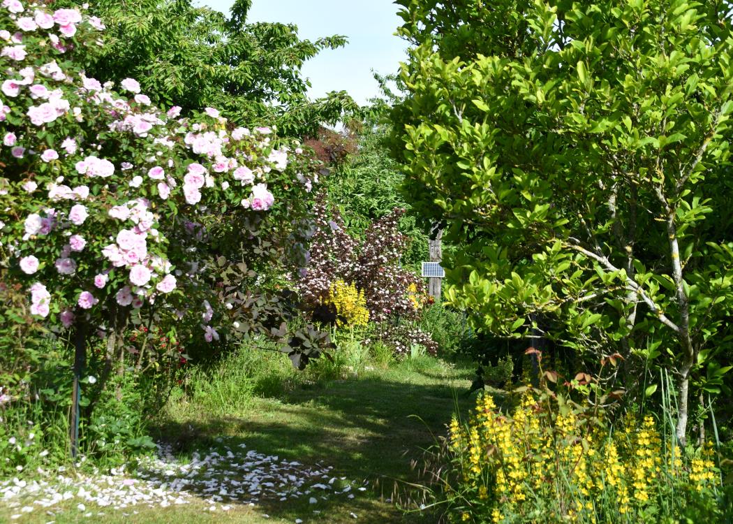 Jardin d'Hélène
