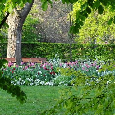 Rendez-vous aux jardins : Jardin d