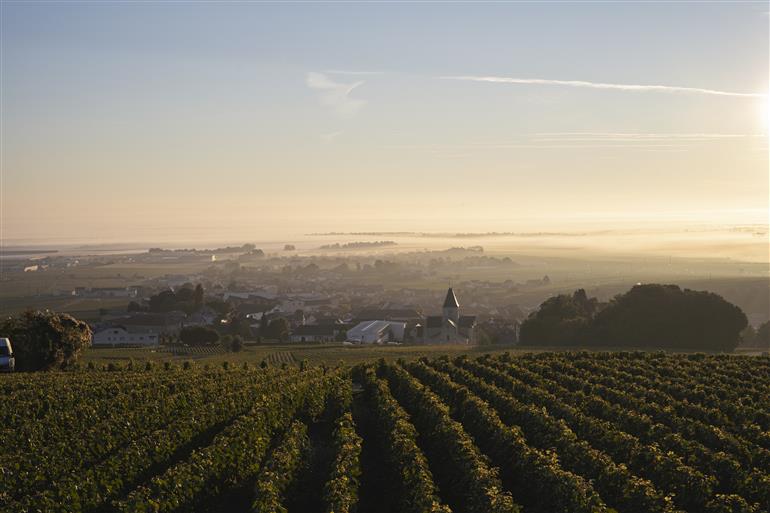 le-mesnil-sur-oger