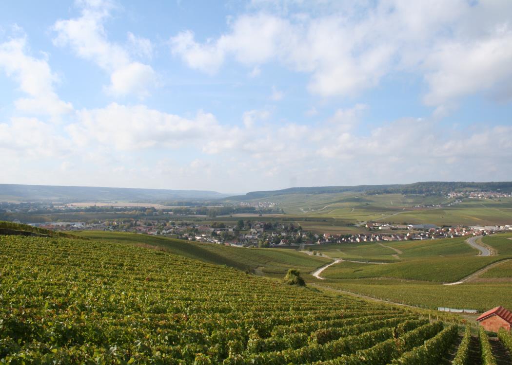 Panoramic Tour - Dizy 6