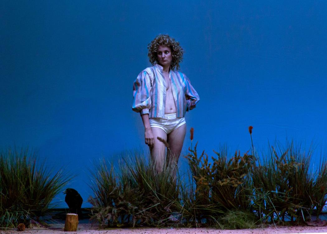 En une nuit, notes pour un spectacle 