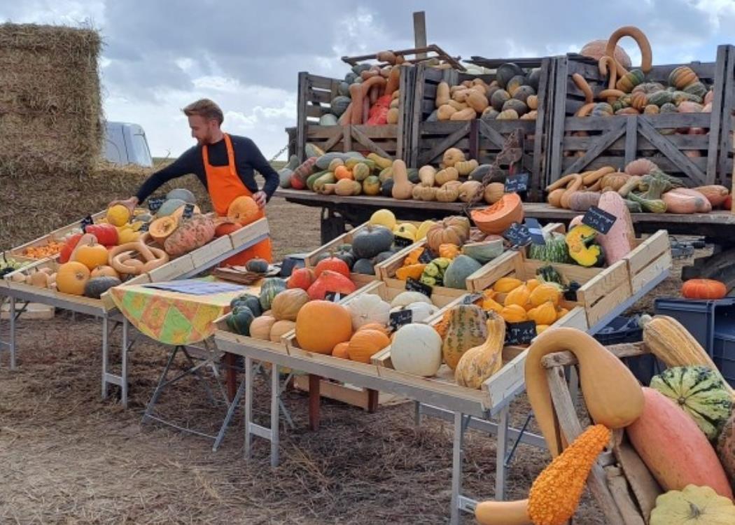 Etal de marché
