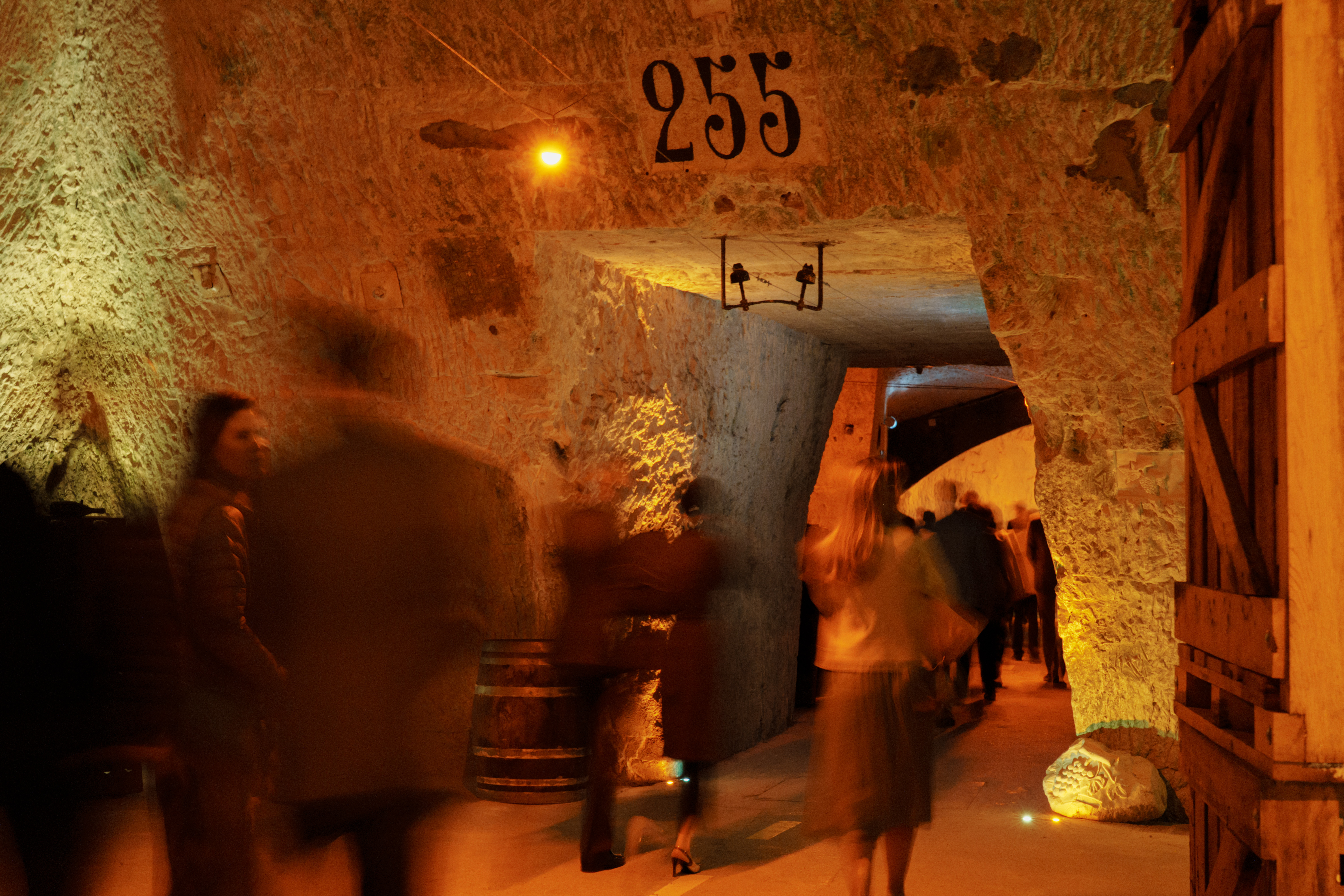 Private Cellar Tour - INSTANTS - ERELL DIGITAL