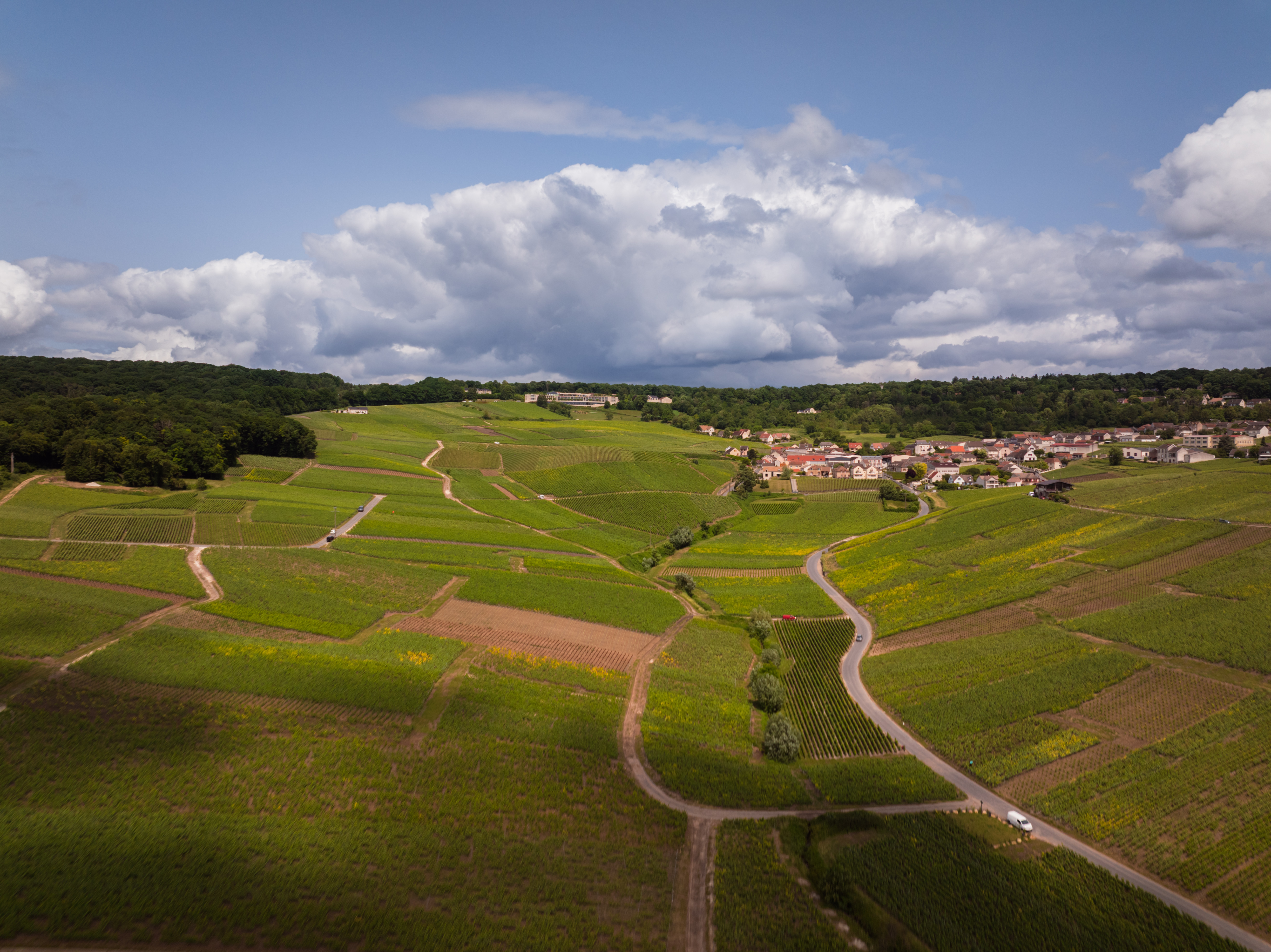 Champagne vineyards tour - INSTANTS CHAMPAGNE - ERELL DIGITAL
