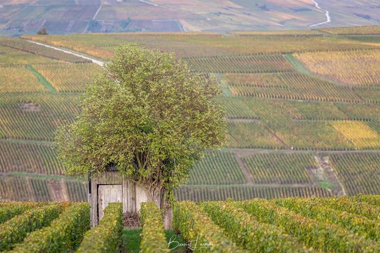 FB_IMG_1571421909584