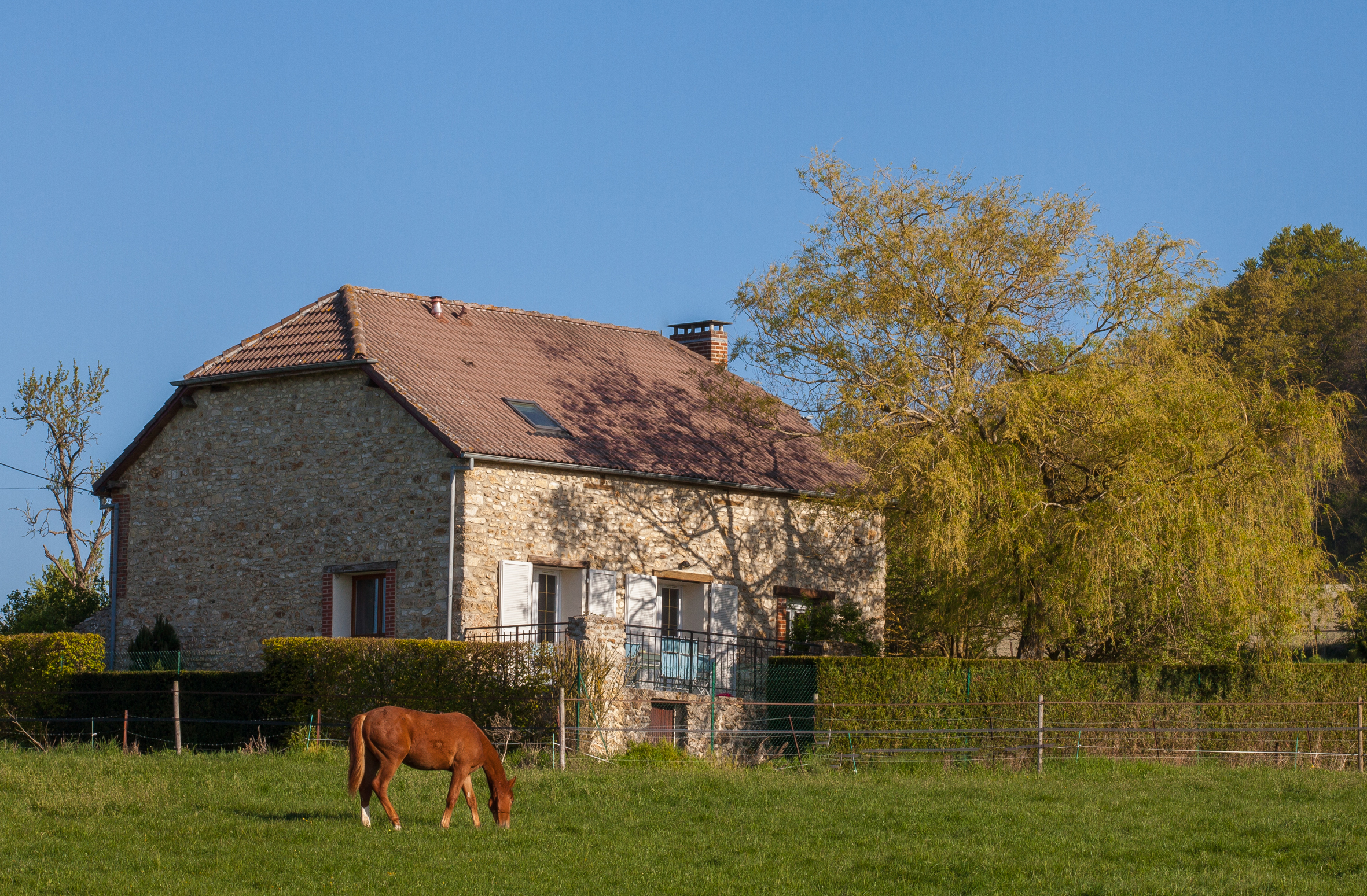 Champagne Mondet