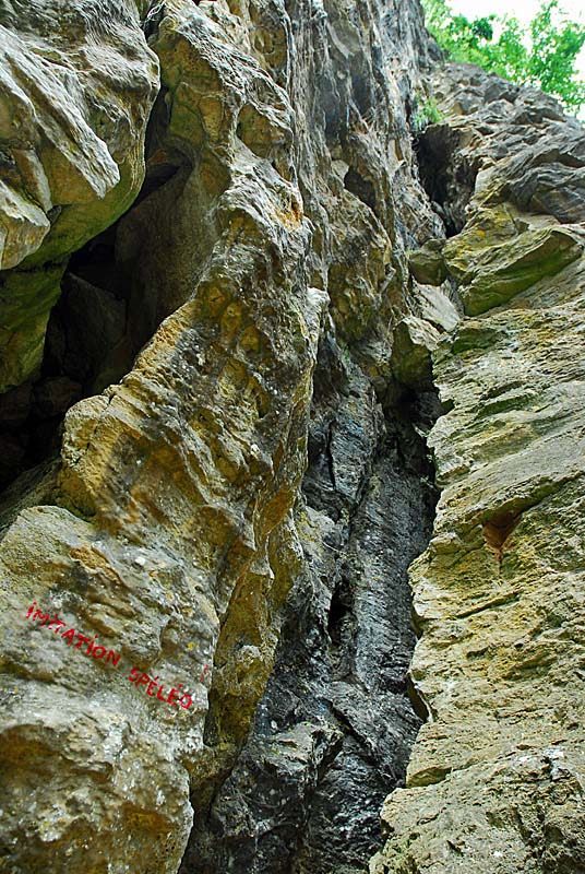 Escalade à la falaise de Cohons