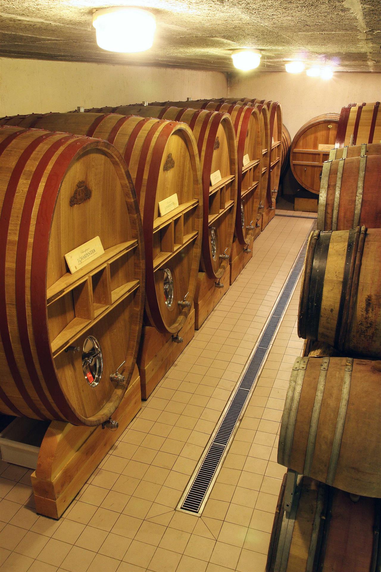 Foudres Chp J. Charpentier