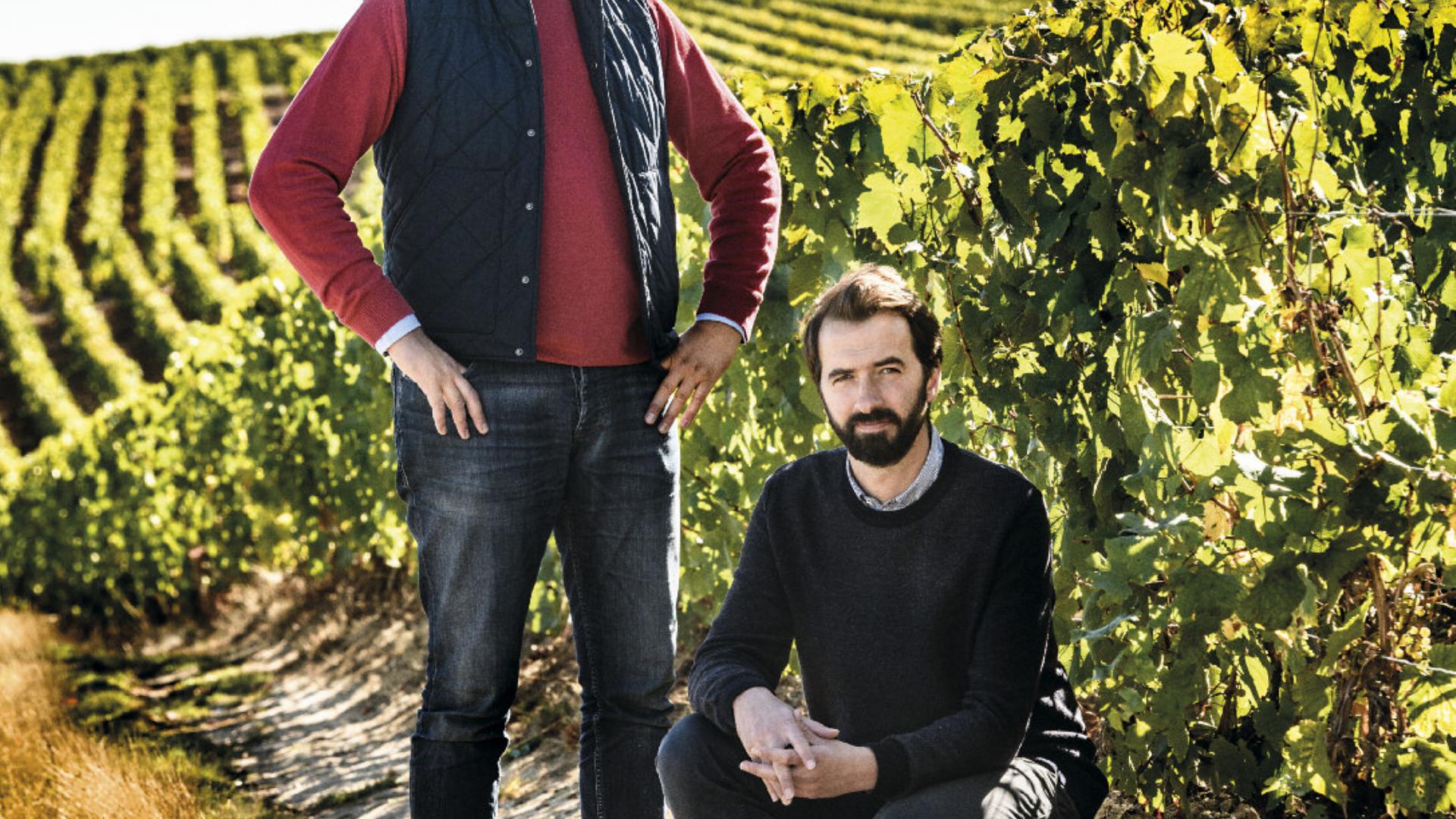 Frères Bonnaire (© Vigneron Magazine 2018)
