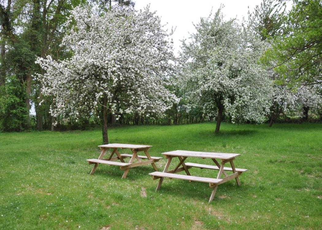 Les Clés d'Emeraude - jardin - Outines - Lac du der