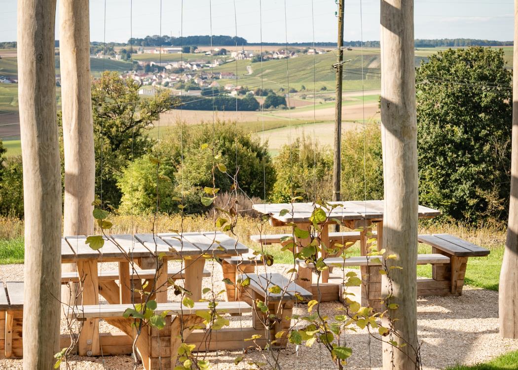 Halte Nature Toulon la Montagne (5)©Noemie Cozette - Epernay Agglo Champagne