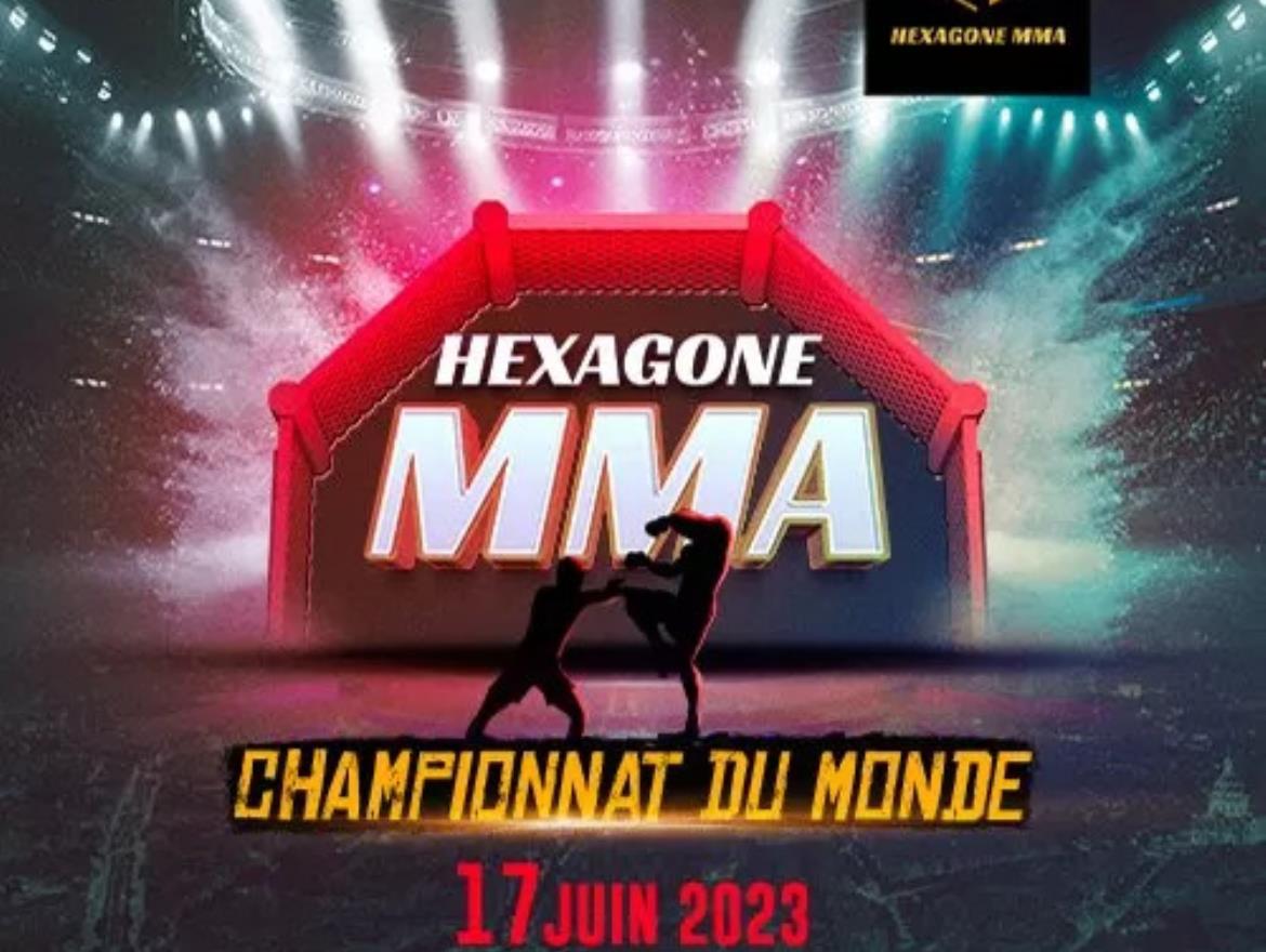 Hexagone-MMA-Reims-1x1-1