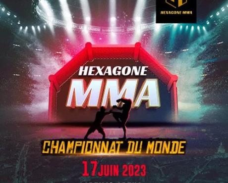 Hexagone-MMA-Reims-1x1-1
