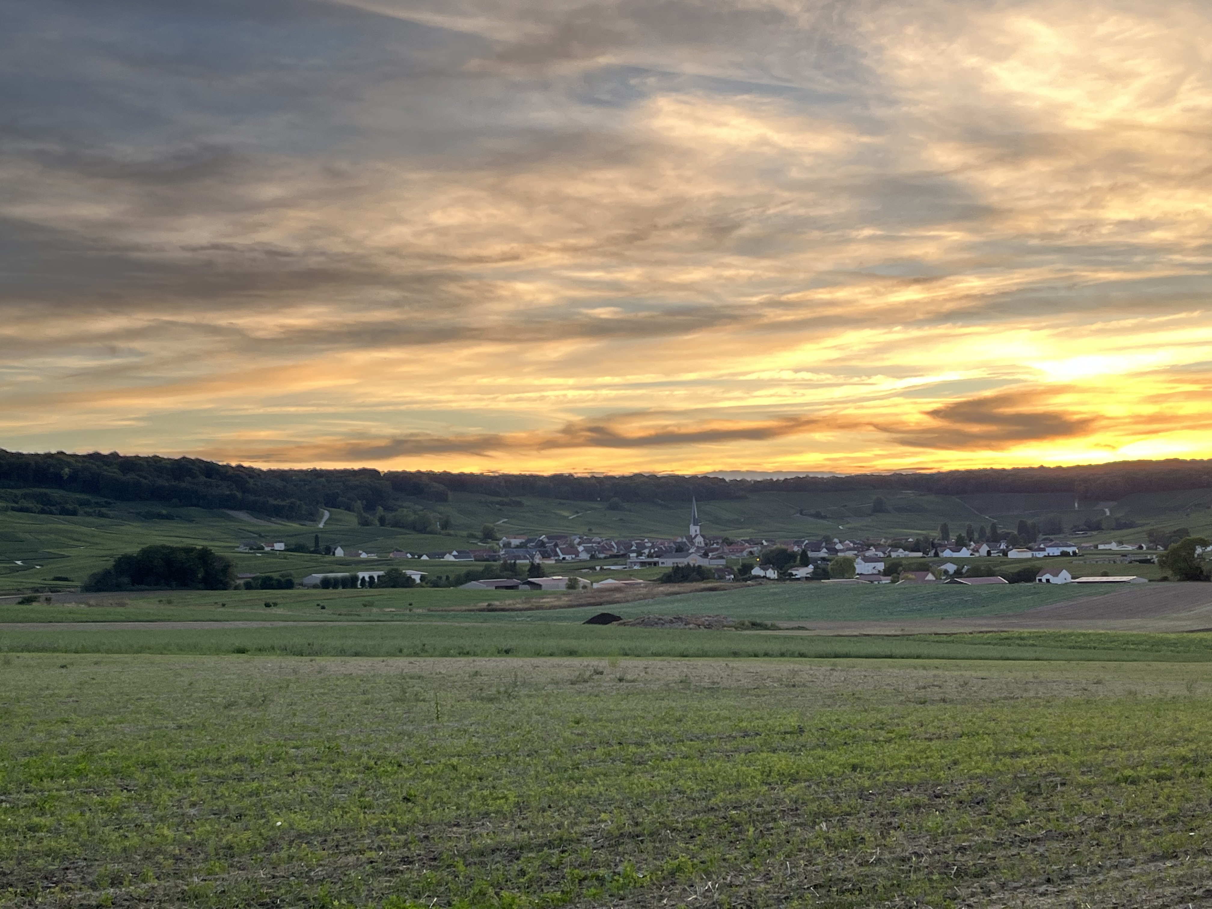 IMG-0756