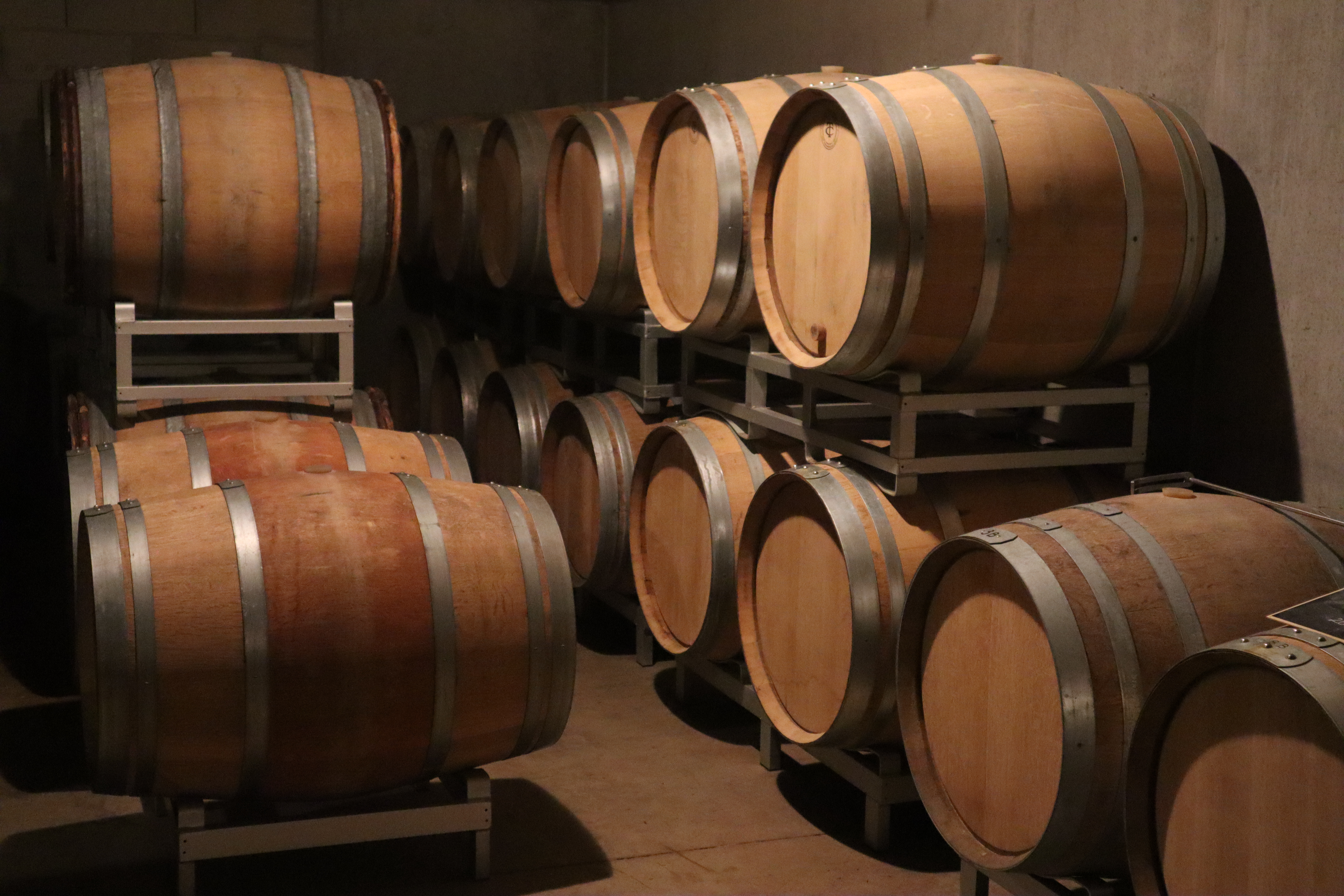 Rêve Champenois