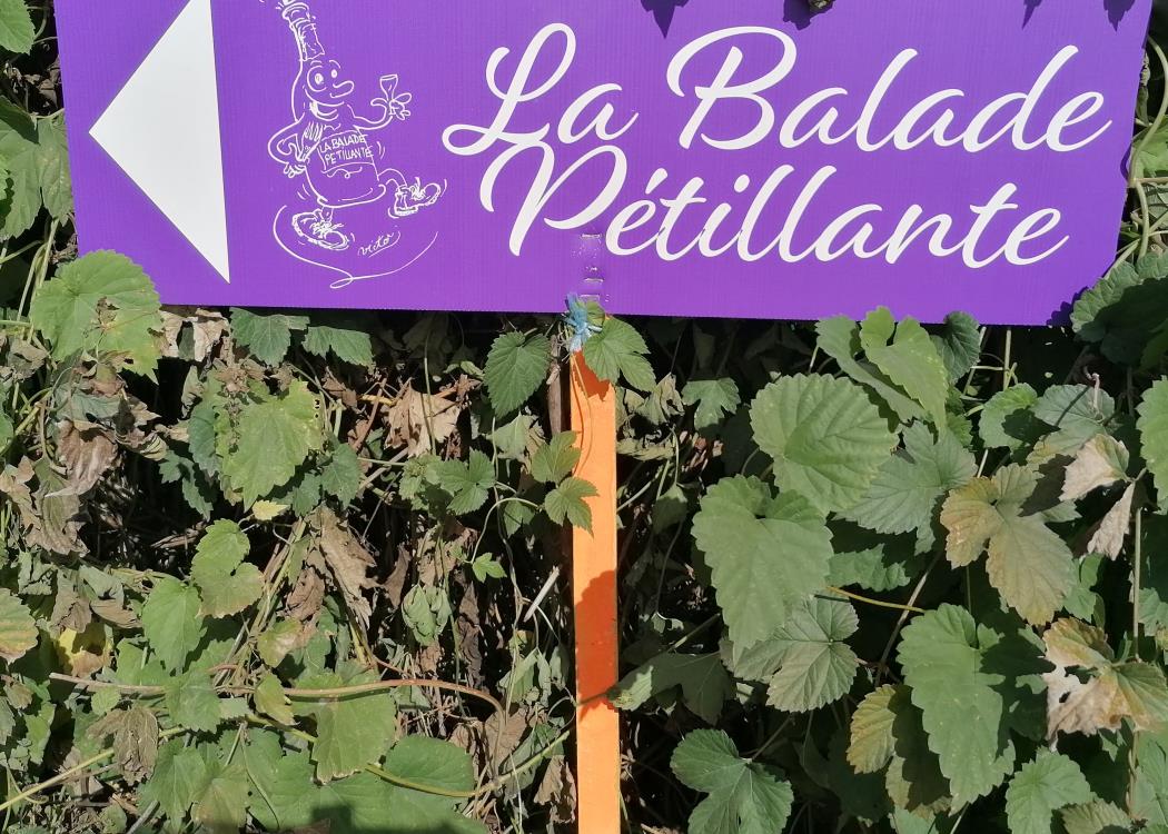 balade pétillante