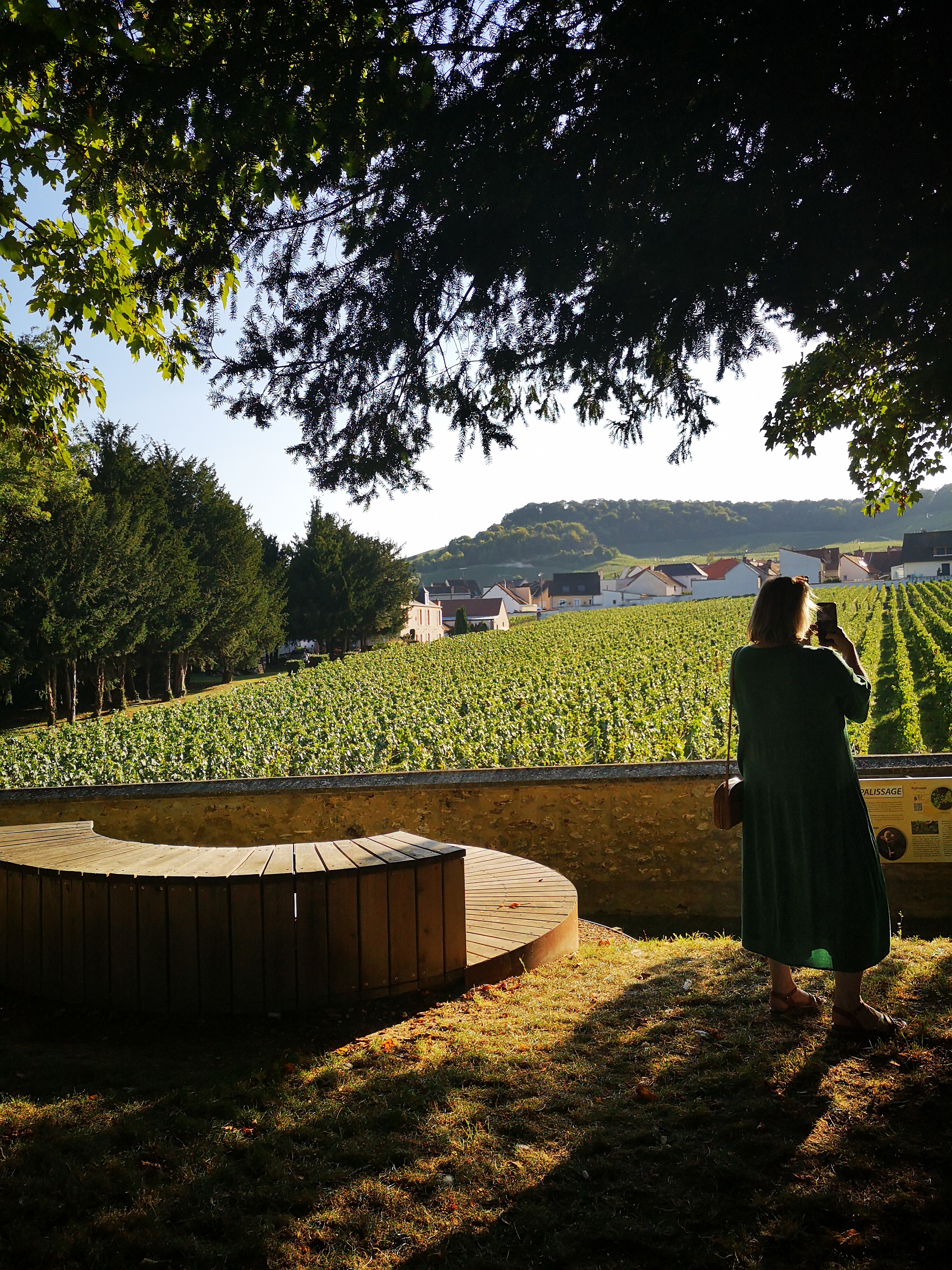Champagne Pierre Moncuit