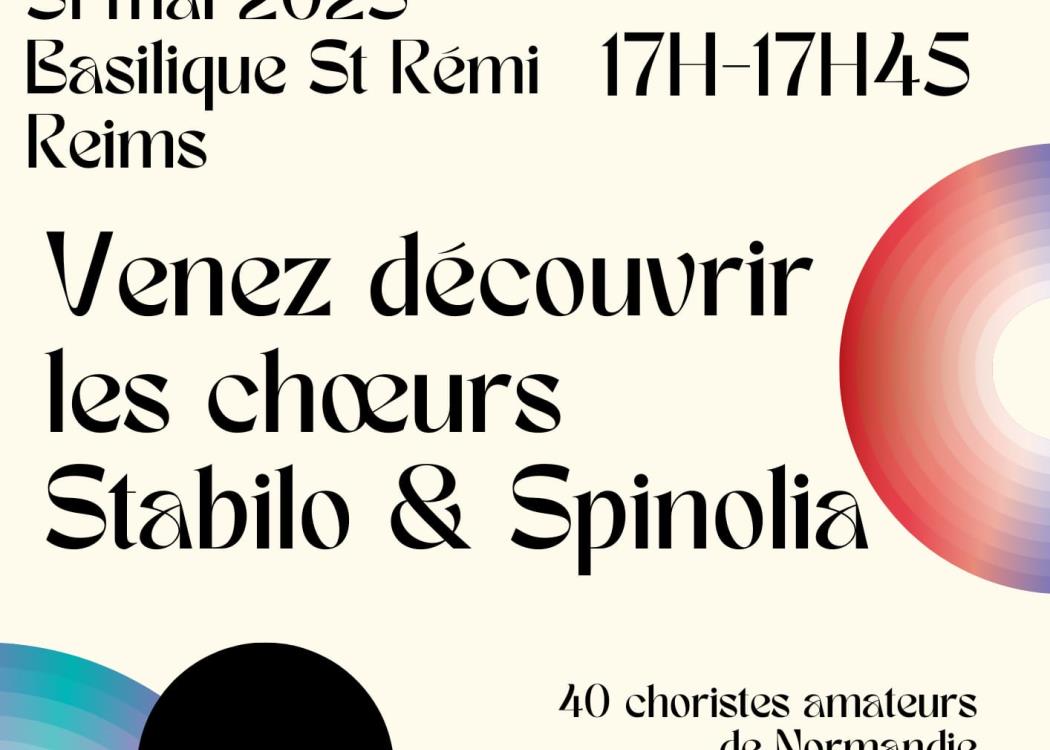 Affiche Stabilo & Spinolia