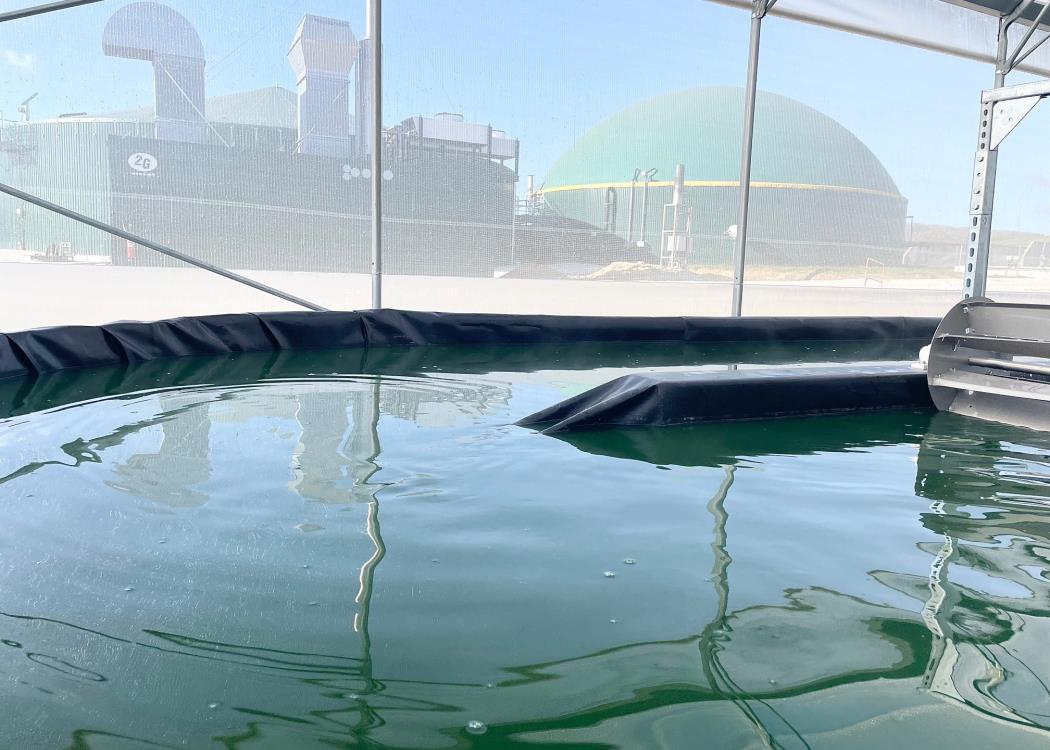 la ferme des MP la ferme des MP