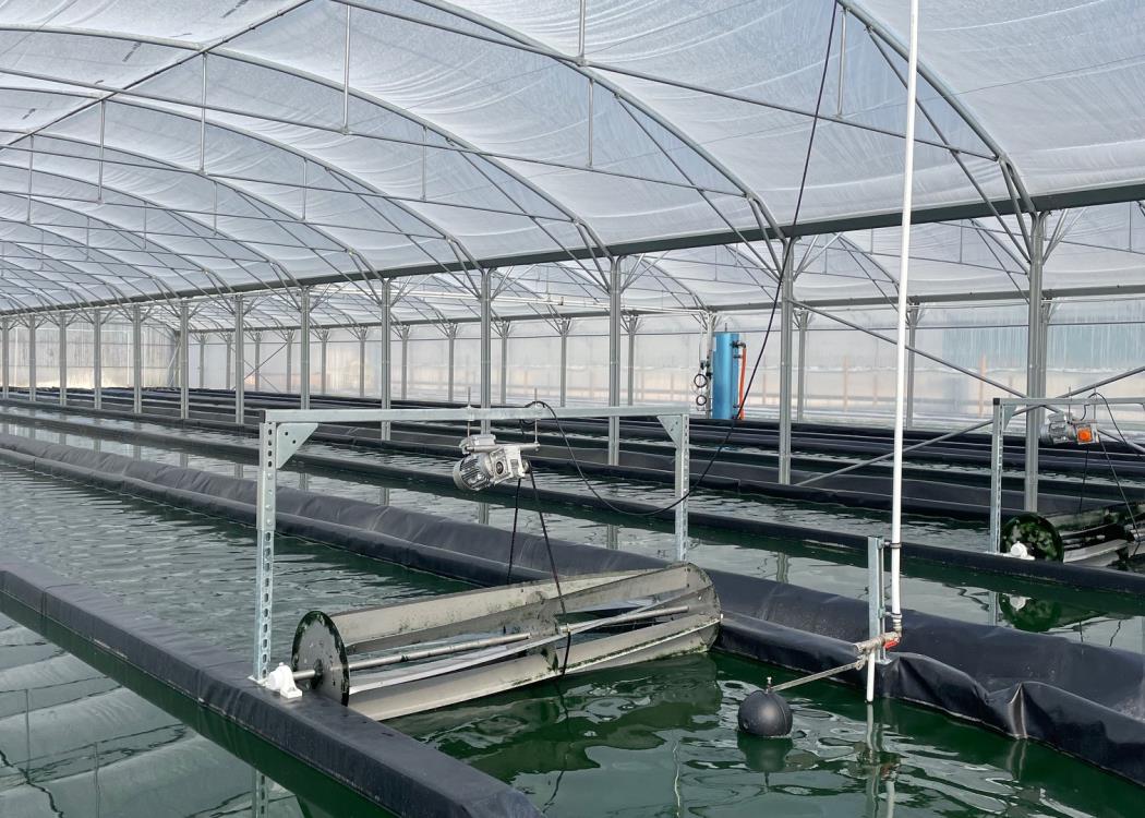 la ferme des MP la ferme des MP