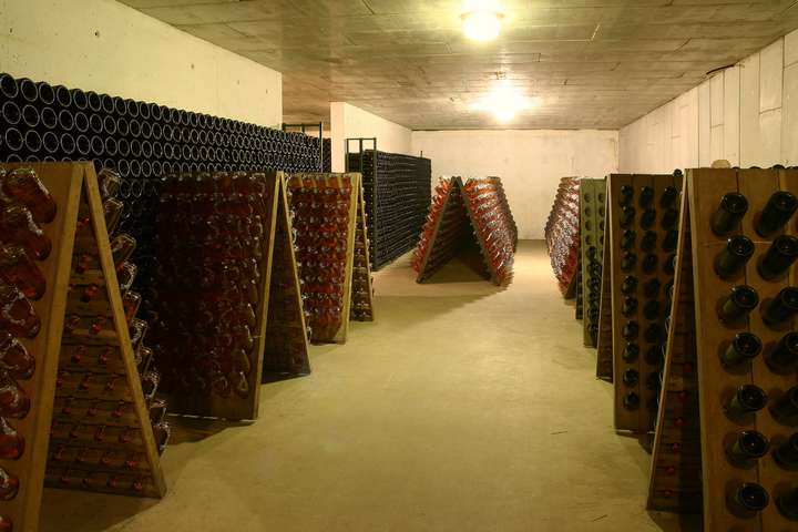 IMG-3109