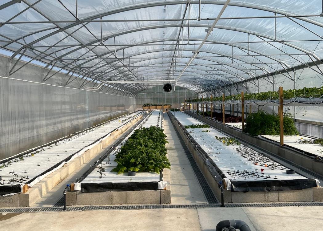 la ferme des MP la ferme des MP