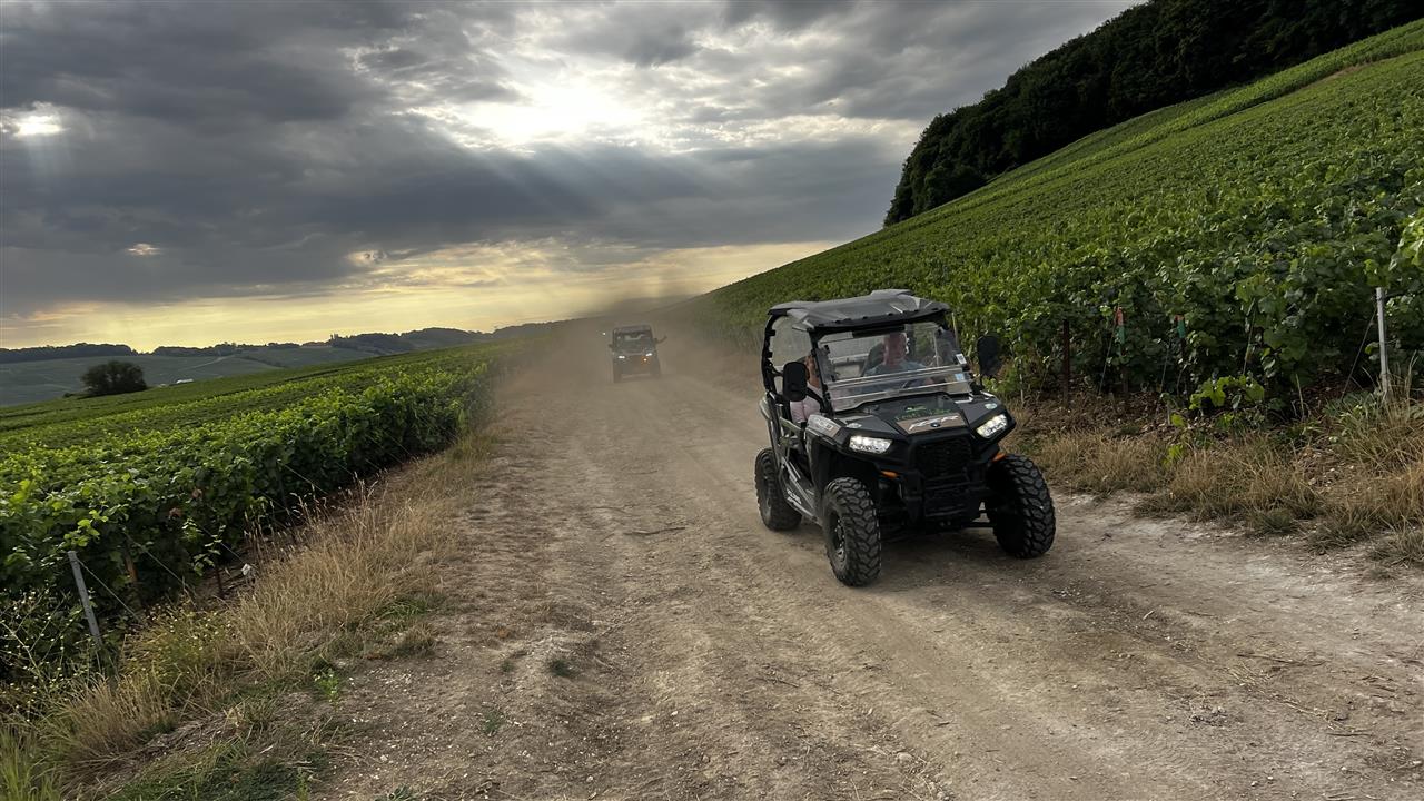 À travers le vignoble