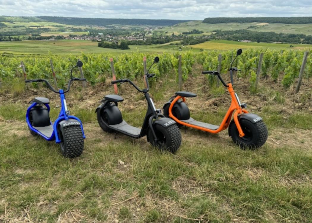 Champagne Mondet Père et Fils - Dormans Champagne Mondet Père et Fils - Dormans