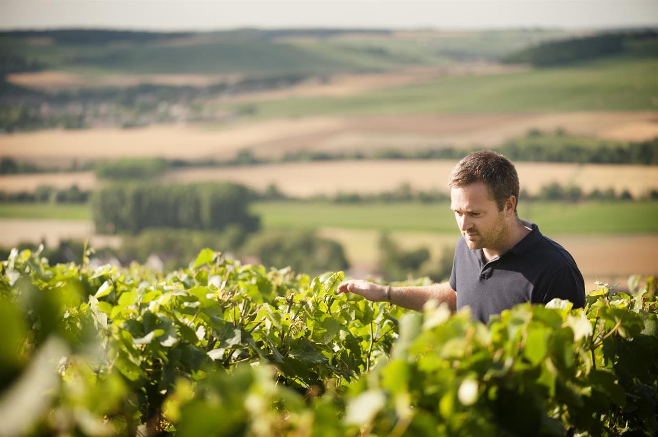 Champagne Xavier Leconte