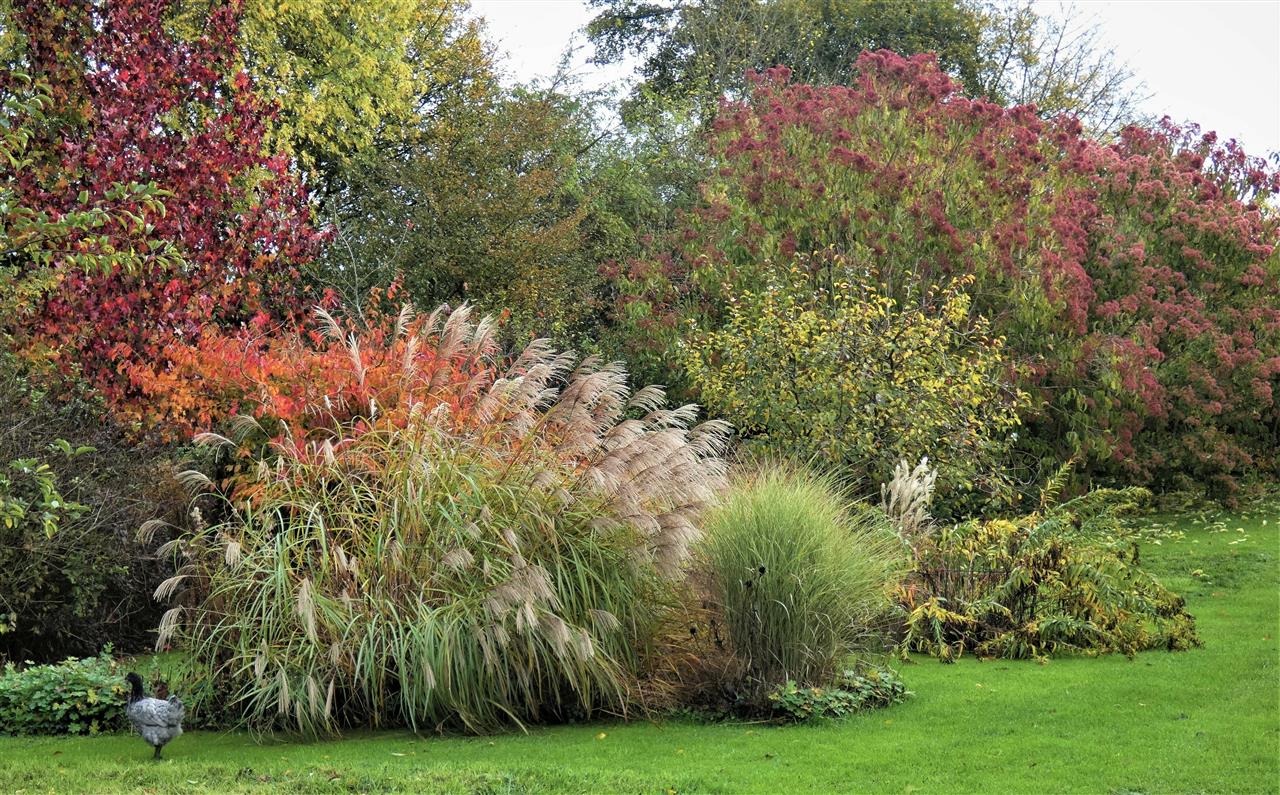 JEP Jardin de l'eau Vive-1