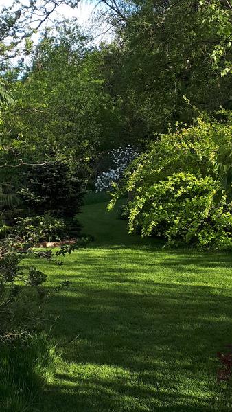 Jardin de l'eau vive - Jardin de l'eau Vive