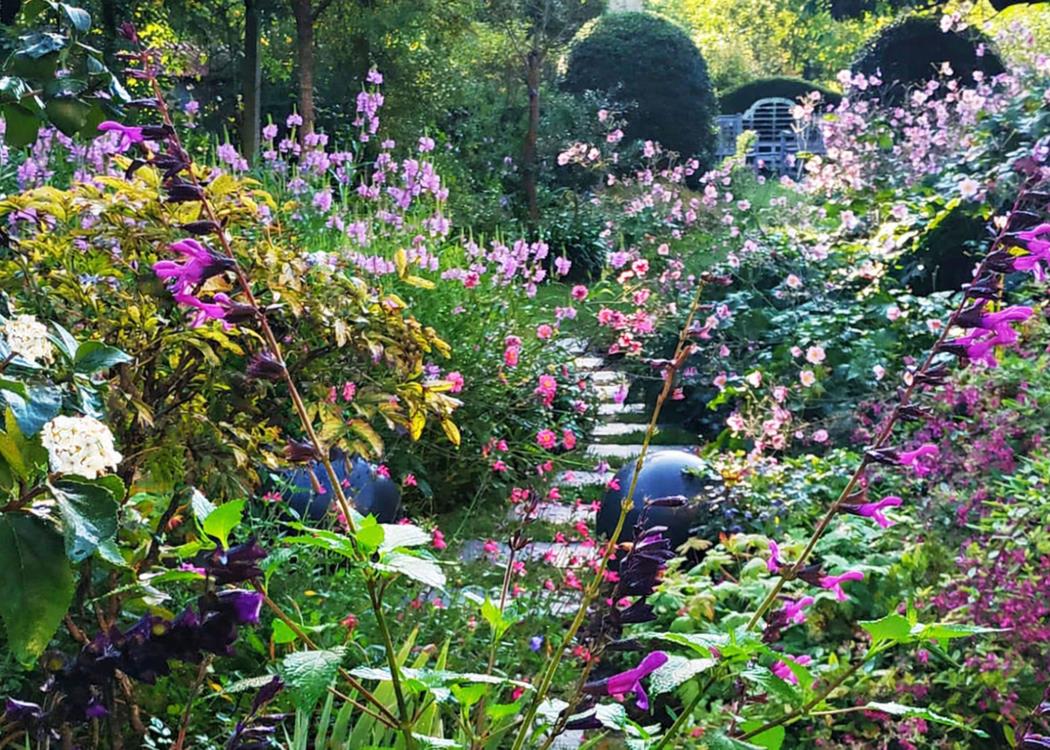 Jardin de la Joncherienne(8)