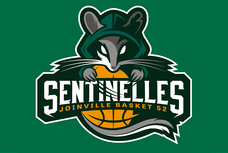 Joinville basket 52