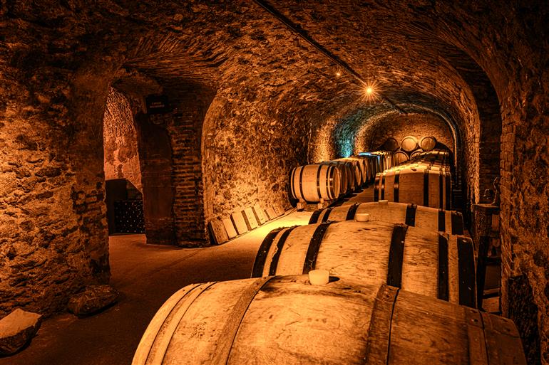 LC_25_067936 Photo (c) Leif Carlsson