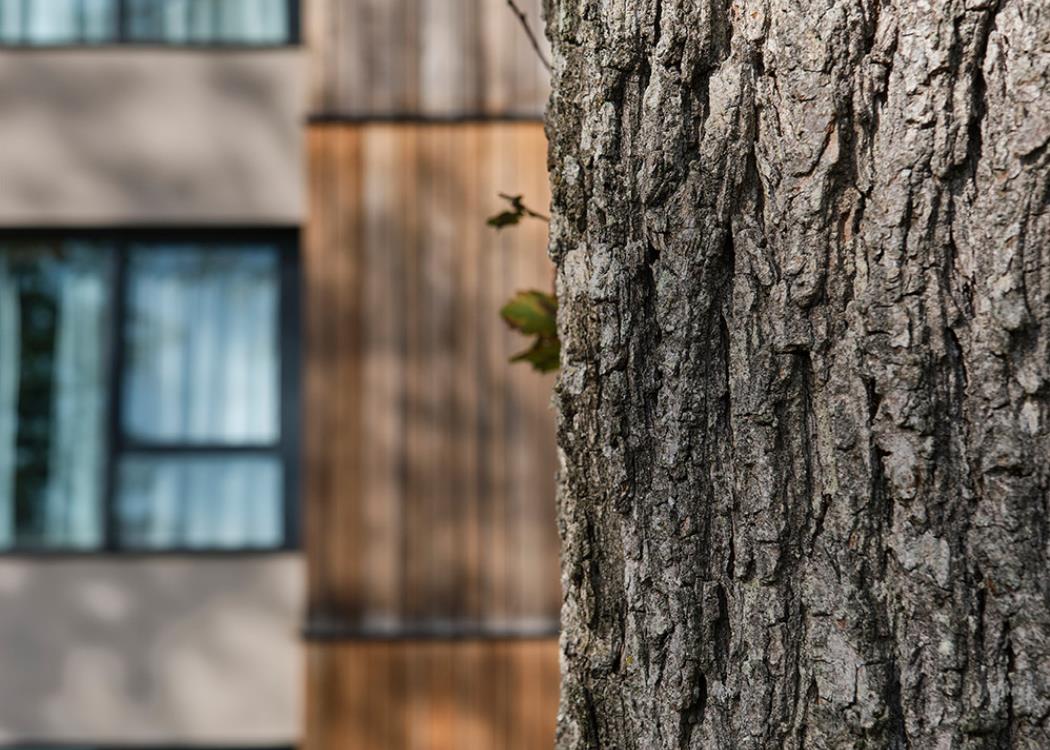 LOISIUM Wine & Spa (Automne)_DSF2270_lowRes