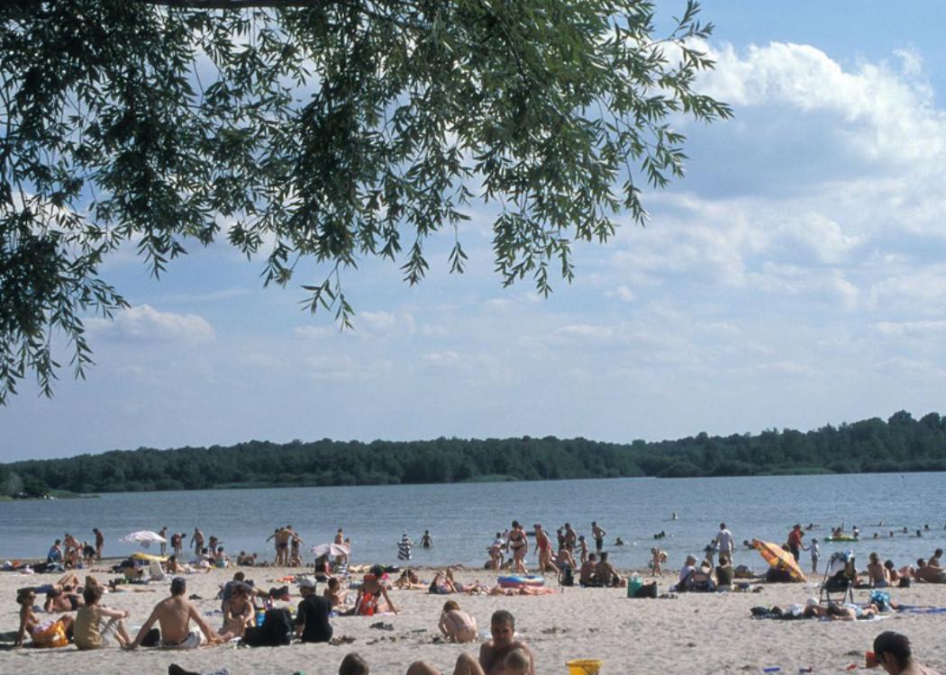 Plage Lac du Der