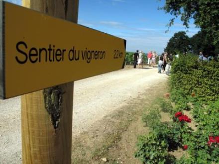Le Sentier du Vigneron-GT 2014