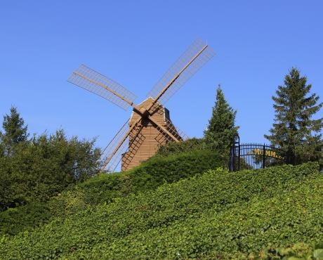 Le moulin de Verzenay (c) Carmen Moya Office de Tourisme du Grand Reims (6)