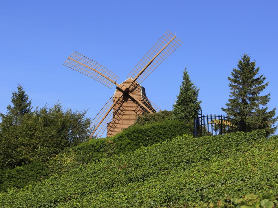 Le moulin de Verzenay (c) Carmen Moya Office de Tourisme du Grand Reims (6)