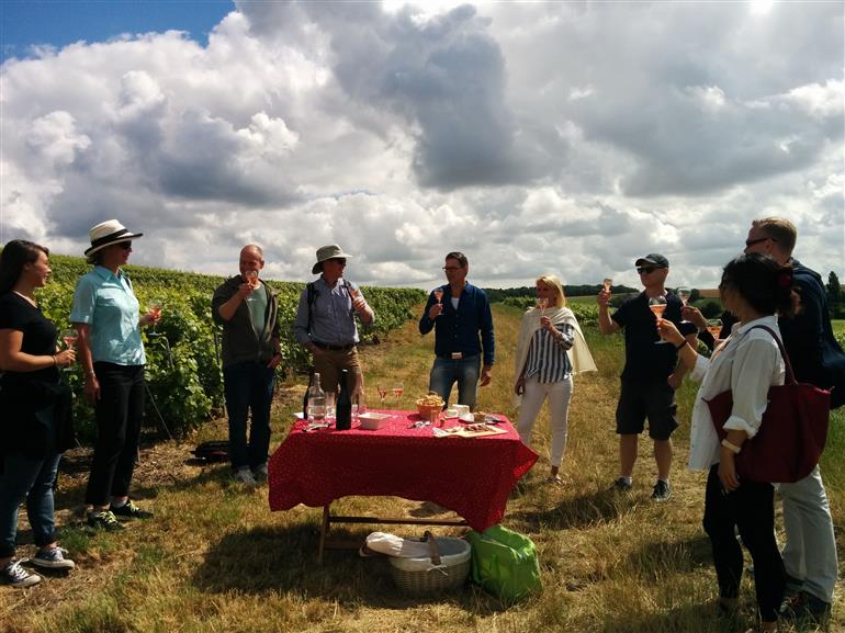 Les Sensations Vigneronnes (visite oenotouristique) - Maison d'hôtes La Potern