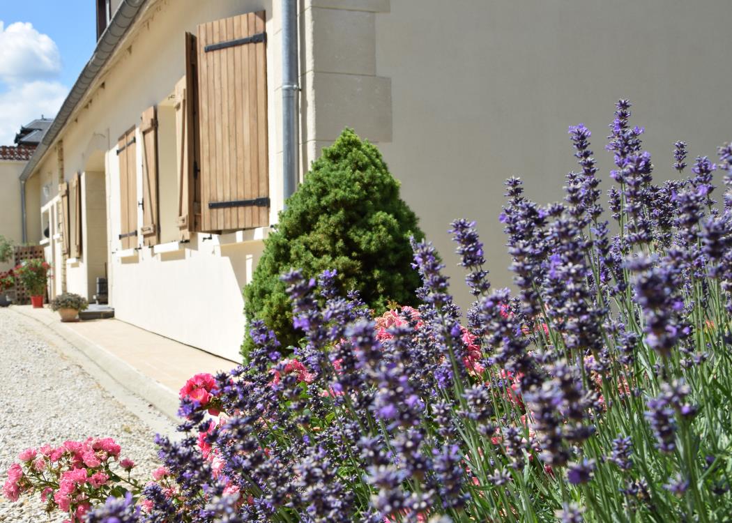 Rêve champenois - Rilly la Montagne - Maison Rêve champenois - Rilly la Montagne - Maison