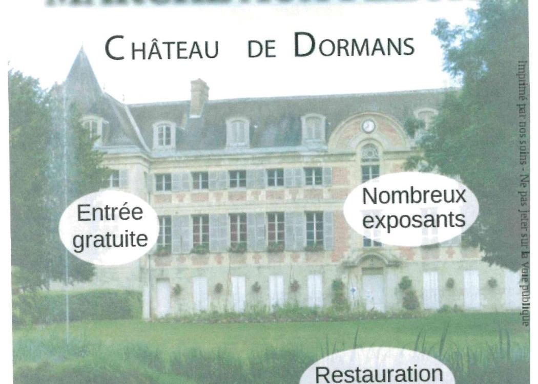 Marché aux fleurs - Dormans