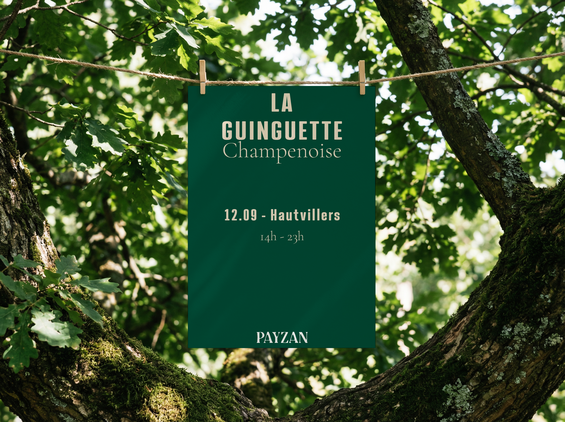 Journées Européennes du Patrimoine : Promenade botanique