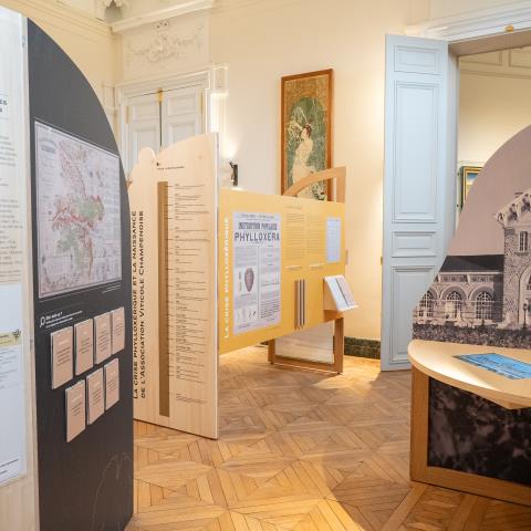 Exposition Vignes en Champagne