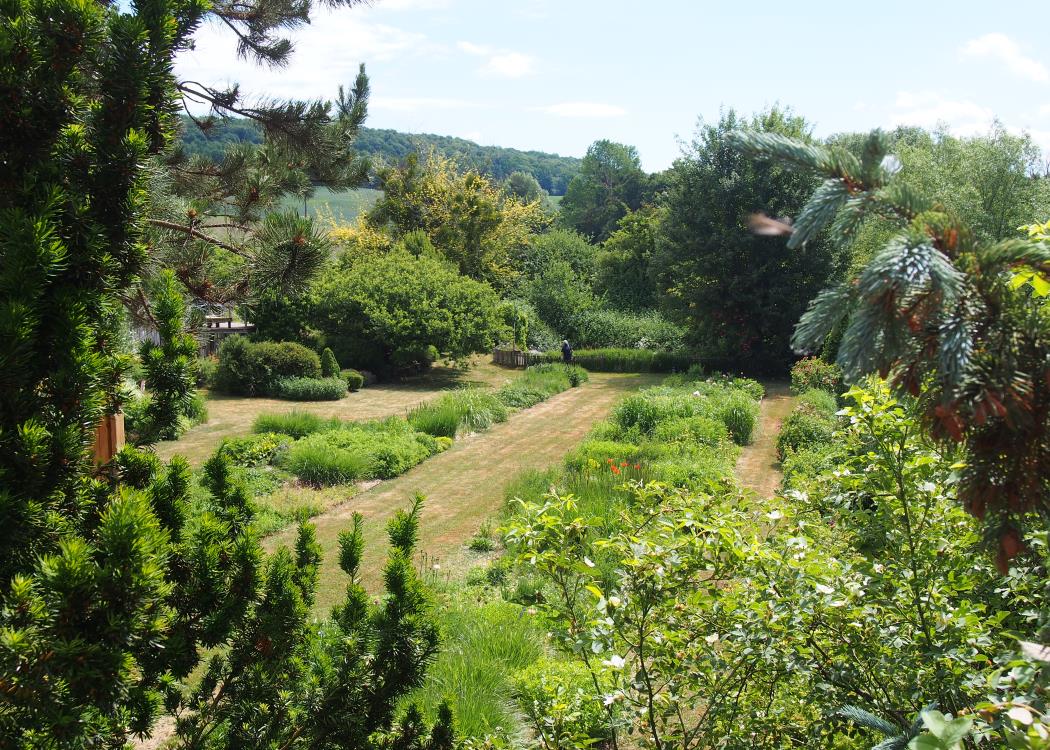 Jardin Botanique de la Presle - Nanteuil la Forêt