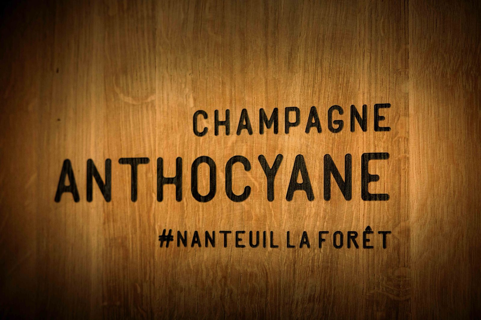 Champagne Anthocyane - @aurelienlaudy