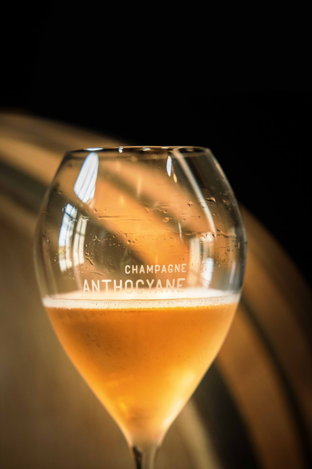 Champagne Anthocyane - @aurelienlaudy